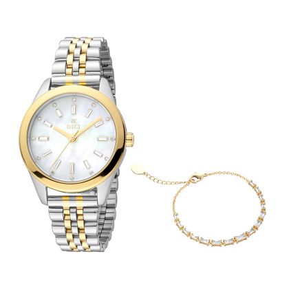 Raffaella Women Analog Watch Set - DC1L221M0044 SET