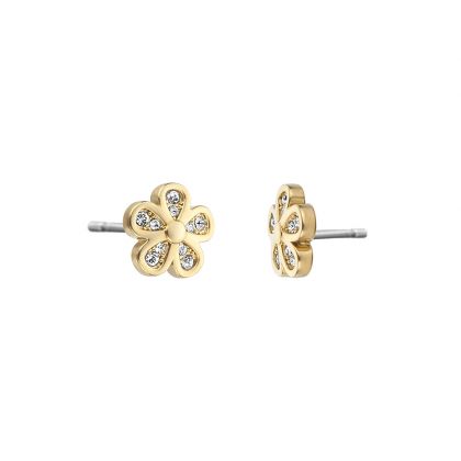 DICI Women Gold Earring - DCER01353200