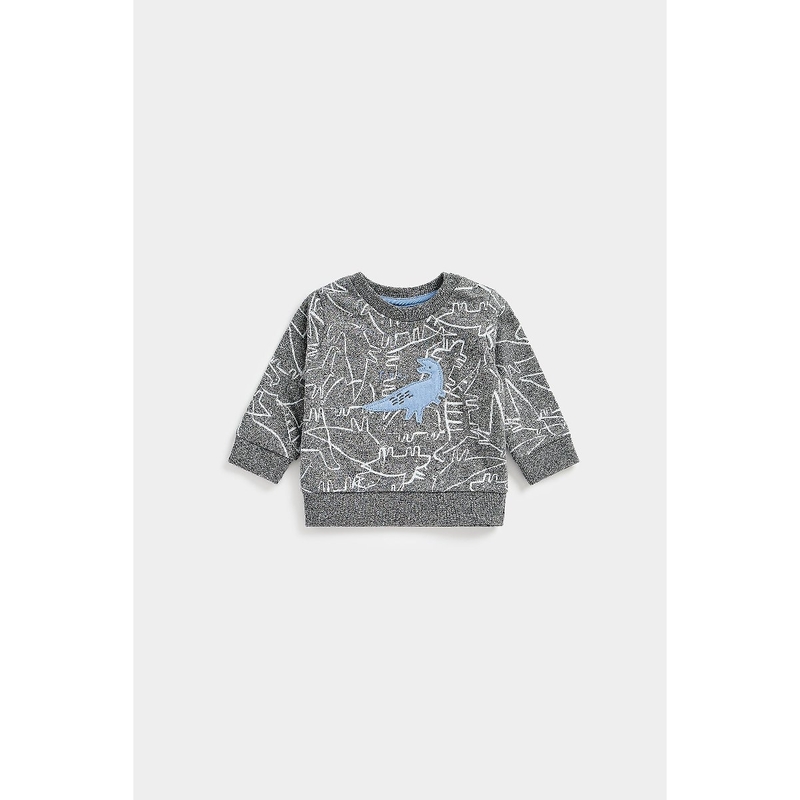 Dino Print Sweat Top